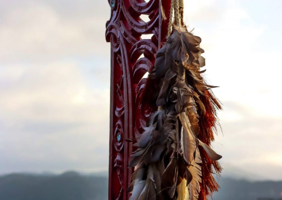 Importance of Waitangi Day - Teaser Image